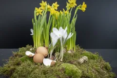 Geert Patyn in oostende 2023