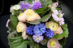 Geert Patyn in oostende 2023