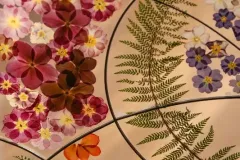 Gentse Floralien 2022 - Floralies Gantoises 2022