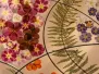 Gentse Floralien 2022 - Floralies Gantoises 2022