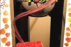 Activiteiten 2021-22 - Activités 2021-22