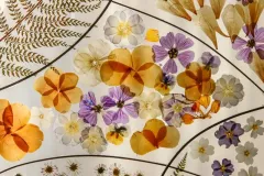 Gentse floralien 2022