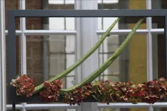 Hotel de Clercx 2022