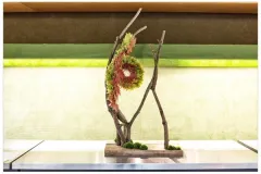  Internationale wedstrijd – Klasse 6: herfstzon in het bos op 3 oktober 2013 - Concours international – Classe 6: soleil d’automne dans les bois - 3 octobre 2013