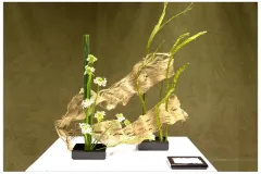 Internationale wedstrijd – Klasse 7: als de wind opkomt op 3 oktober 2013 - Compétition internationale – Classe 7 : Quand le vent se lève le 3 octobre 2013