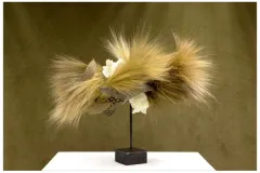 Internationale wedstrijd – Klasse 7: als de wind opkomt op 3 oktober 2013 - Compétition internationale – Classe 7 : Quand le vent se lève le 3 octobre 2013-2