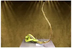 Internationale wedstrijd – Klasse 7: als de wind opkomt op 3 oktober 2013 - Compétition internationale – Classe 7 : Quand le vent se lève le 3 octobre 2013-3