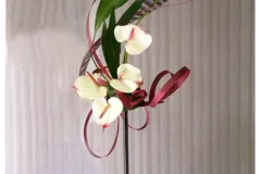 Activiteiten 2013 - Activités 2013