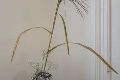 L1000423-2