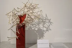 L1000427-2