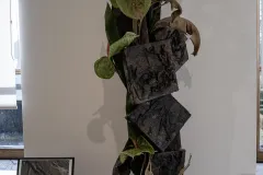 L1000446-2