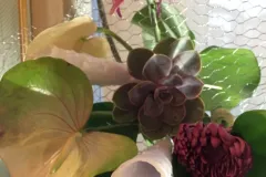 Nationaal activiteit: Kerst RBFAS op 6 en 7 december 2018 - Activité nationale : Noël RBFAS - 6 et 7 décembre  -007