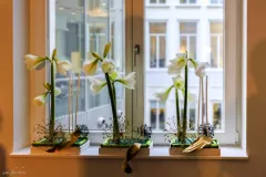 Nationaal activiteit: Kerst RBFAS op 6 en 7 december 2018 - Activité nationale : Noël RBFAS - 6 et 7 décembre  -017