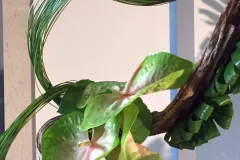 Plantentuin Meise – juni 2018 - Jardin Botanique Meise – juin 2018-002