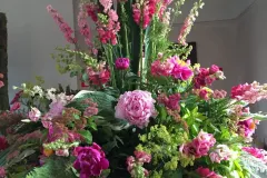 Plantentuin Meise – juni 2018 - Jardin Botanique Meise – juin 2018-003