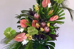 Plantentuin Meise – juni 2018 - Jardin Botanique Meise – juin 2018-007