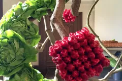 Plantentuin Meise – juni 2018 - Jardin Botanique Meise – juin 2018-009