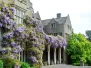 Reis naar de Cotswolds op 10 juni 2013 - Voyage dans les Cotswolds - 10 juin 2013