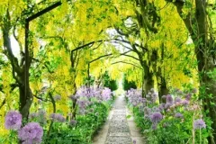 Reis naar de Cotswolds op 10 juni 2013 - Voyage dans les Cotswolds - 10 juin 2013-2