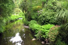 Reis naar Ierland 13 juni 2010 - Voyage en Irlande - 13 juin 2010-10