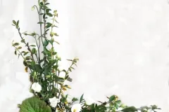 Test leraars 1ste graad traditioneel - 12 maart 2013 - Test professeur traditionnel 1er degré - 12 mars 2013-2