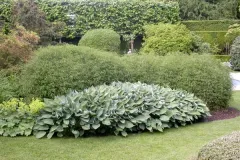 Tuinenrally 5 juni 2012 - 	Rallye-jardins - 5 juin 2012  -11