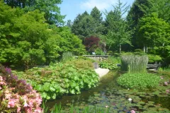 Tuinrally 9 juni 2016 - Rally jardin - 9  juin 2016