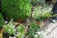 Tuinrally 9 juni 2016 - Rally jardin - 9 juin 2016-03