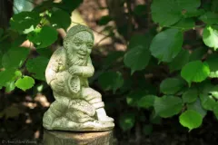 Tuinrally 9 juni 2016 - Rally jardin - 9 juin 2016-14