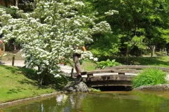 Tuinrally 9 juni 2016 - Rally jardin - 9 juin 2016-21