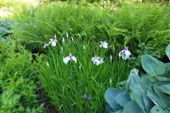 Tuinrally 9 juni 2016 - Rally jardin - 9 juin 2016-23