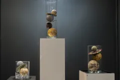 2_la-princesse-au-petit-pois-2