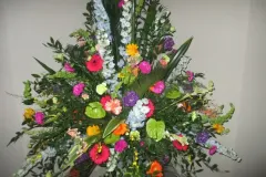 Wafa India , Jaipur 2020