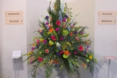 Activiteiten 2020 - Activités 2020