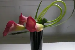 Workshop “Lijn en Ruimte” - Workshop “La Ligne et l’Espace” - 5 octobre 2010-003