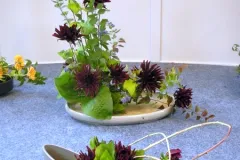 Workshop “Schitterende Herfstkleuren” -Workshop “Splendeurs Automnales” - 28 septembre 2010-005