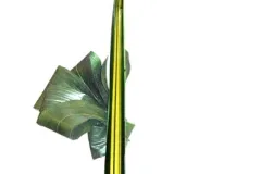 Workshops in La Marlagne op 19 oktober 2011 - Workshops à La Marlagne - 19 octobre 2011-01