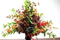 Workshops in La Marlagne op 19 oktober 2011 - Workshops à La Marlagne - 19 octobre 2011-11