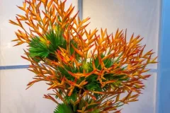 XIIde internationale bloemschikwedstrijd - 27 september 2017 - XII concours international d’art floral du 27 au 30 septembre-001