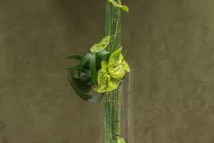 XIIde internationale bloemschikwedstrijd - 27 september 2017 - XII concours international d’art floral du 27 au 30 septembre-012