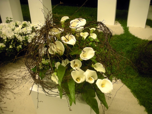 20100417 Gentse Floraliën 8