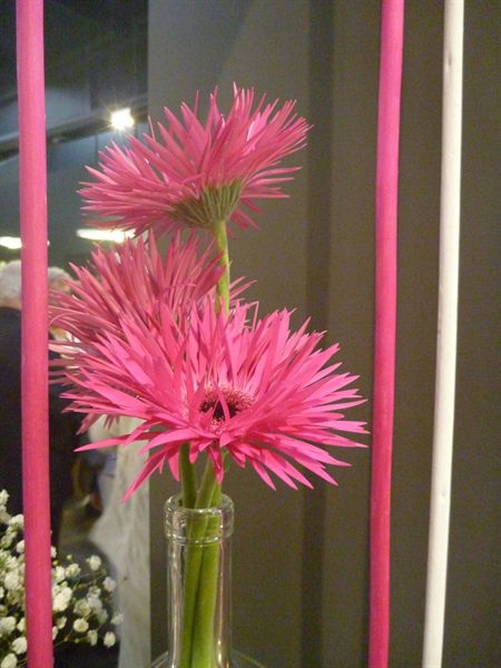 20170518 50 ans BFAS 03