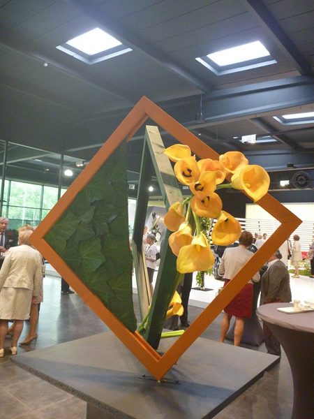 20170518 50 ans BFAS 10