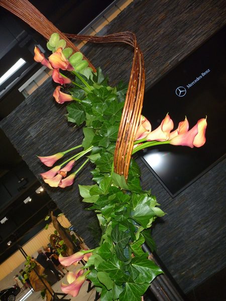 20170518 50 ans BFAS 11