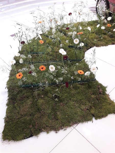 20170518 50 ans BFAS 19