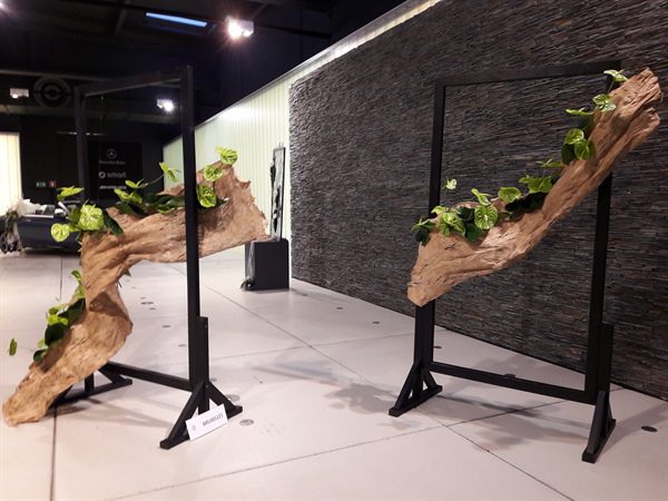 20170518 50 ans BFAS 21