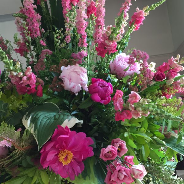 Plantentuin Meise – juni 2018