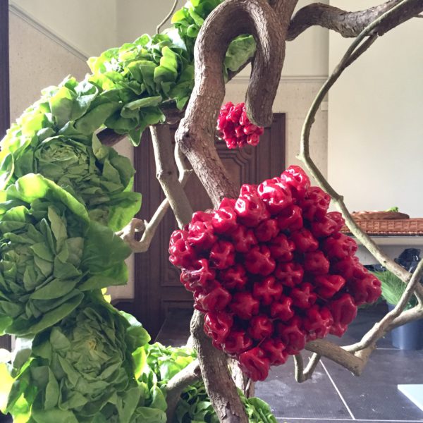 Plantentuin Meise – juni 2018