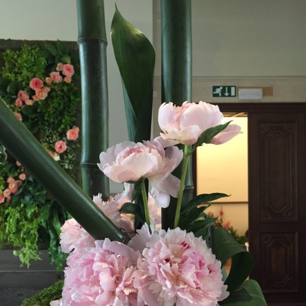 Jardin Botanique Meise – juin 2018