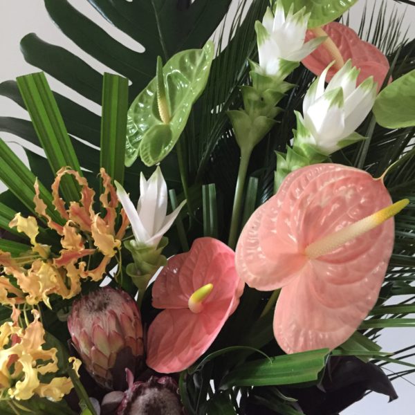 Plantentuin Meise – juni 2018